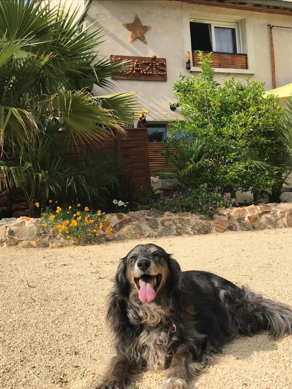 Bed and Breakfast L'Oazis Malissard Exterior foto